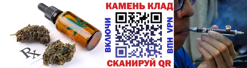купить наркоту Новомичуринск ссылка на мегу онион Canna-Cookies конопля