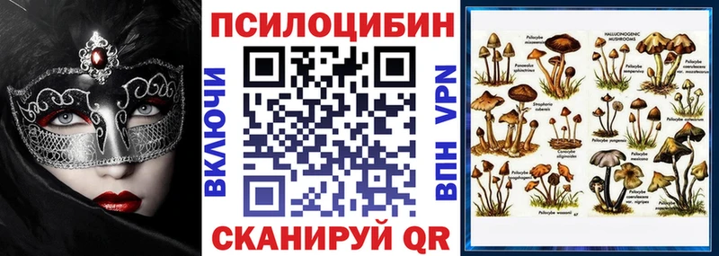 Псилоцибиновые грибы Magic Shrooms  Новомичуринск 
